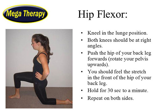 Kneeling Lunge